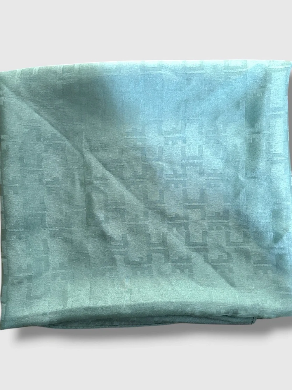 ELISABETTA FRANCHI SILK AQUA LOGO SCARF 38